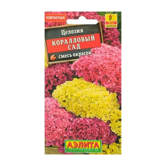 Семена цветов Целозия гребенчатая  Семена цветов Целозия гребенчатая "Коралловый сад", смесь окрасок, О, 0,2 г