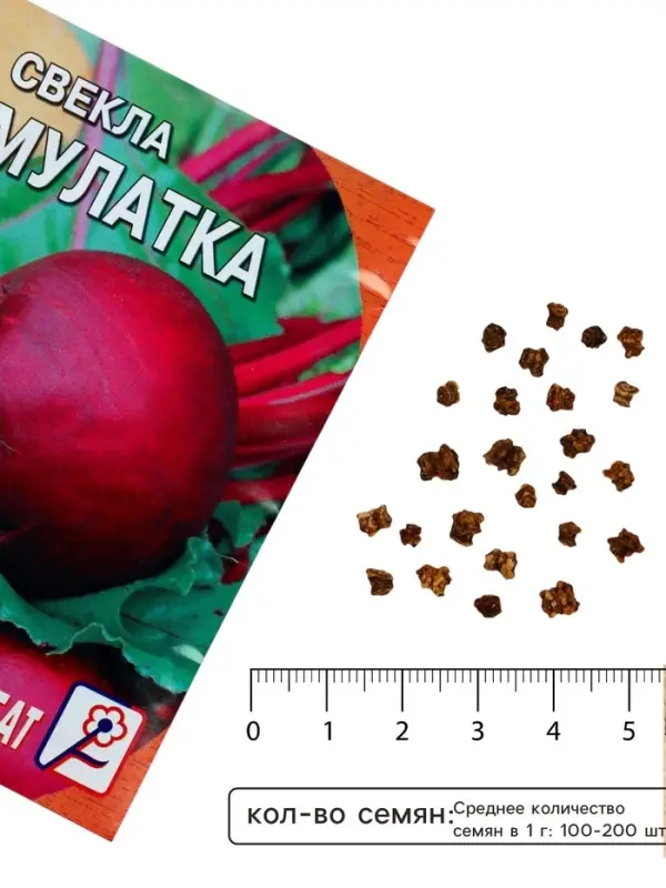 Семена Свекла &laquo;Мулатка&raquo;, 2 г