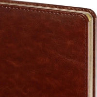 Ежедневник недатированный коричнев,А5,145х205,136л,Sidney NEBRASKA 3-128/03