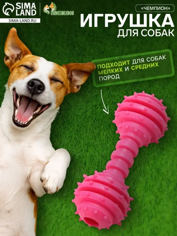 Жевательная игрушка для собак &laquo;Чемпион&raquo;, 12.5 см, TPR, розовая