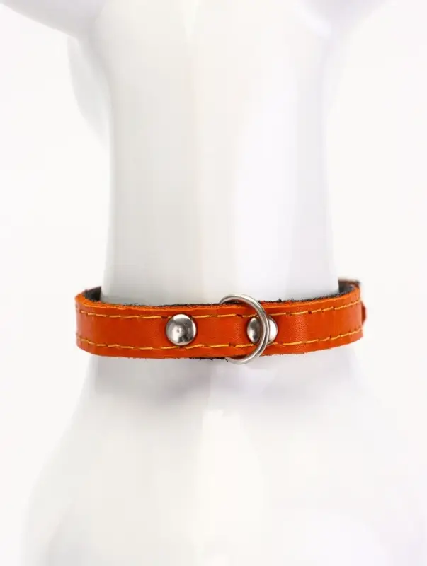 Ошейник кожаный однослойный  на  фетре неукрашенный, 1,2 см, ОШ 20-26 см,