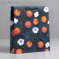Пакет подарочный новогодний ламинированный «Счастья в Новом году», ML 23 x 27 х 8 см