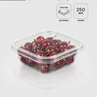 Контейнер одноразовый с неразъёмной крышкой КР-СК, пластик, 250 мл, 13.7&times;13.7&times;3.5 см, прозрачный