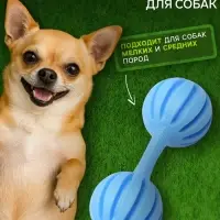 Жевательная игрушка для собак &laquo;Силач&raquo;, 15 см, TPR, голубая