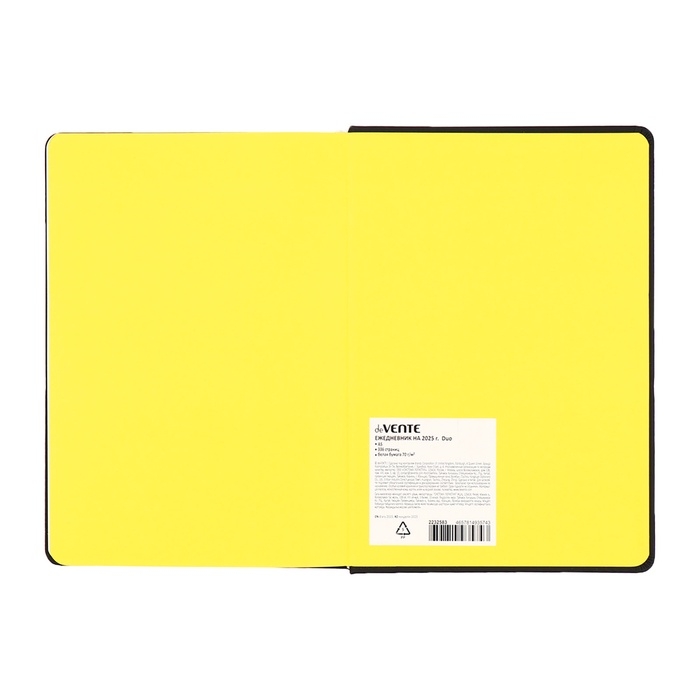 Ежедневник датированный 2025 года, deVENTE. Flag, A5 168 листов, deVENTE. Duo, твердая обложка кожзам с поролоном, шелкография, перфорация, ляссе, блок 70 г/м2 Ежедневник датированный 2025 года, deVENTE. Flag, A5 168 листов, deVENTE. Duo, твердая обложка кожзам с поролоном, шелкография, перфорация, ляссе, блок 70 г/м2