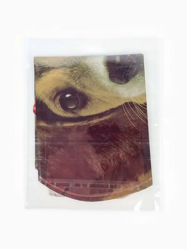 Воздушный шар фольгированный 30" "Щенок в колпаке"