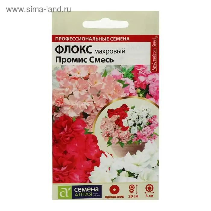 Семена цветов  Флокс "Промис", ц/п,  махровая, смесь, 5 шт Семена цветов  Флокс "Промис", ц/п,  махровая, смесь, 5 шт
