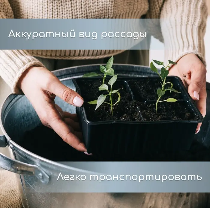 Кассета для рассады, 6 ячеек по 120 мл, пластик, чёрная, набор 5 шт.