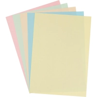 Бумага цветная Выбор есть (А4,80г,микс пастель) пачка 100л