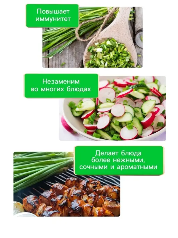 Семена Лук порей  Семена Лук порей "Карантанский", 0,1 г