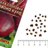 Семена Свекла столовая &laquo;Червона Кула&raquo;, 2 г, &laquo;АЭЛИТА&raquo;