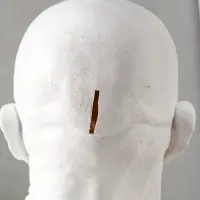 Копилка для денег &laquo;Волан-де-Морт&raquo; 31&times;27&times;23 см, белый с золотом