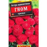 Семена цветов Астра Гном красная , Ц/П,0,2 г Семена цветов Астра Гном красная , Ц/П,0,2 г