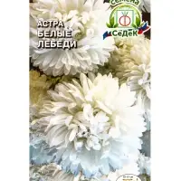 Семена Цветов Астра "Белые лебеди "0.2 г