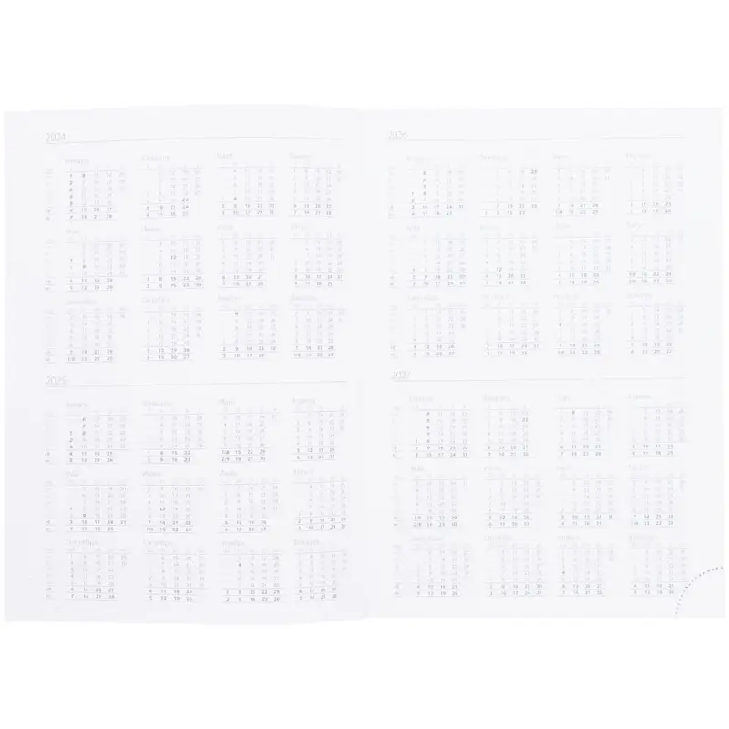 Ежедневник Vivian Metal, недатированный, красный