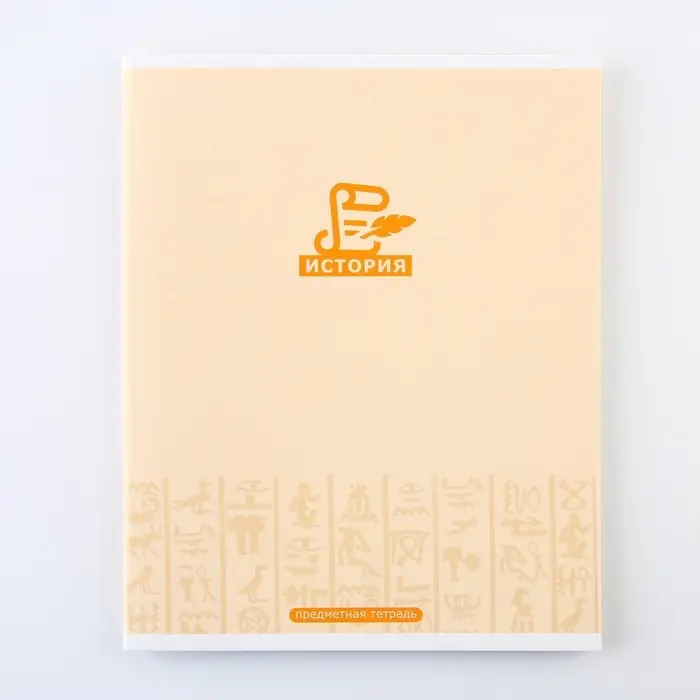 Тетрадь в клетку, предметная, 48 л.,на скрепке, А5 &laquo;МИНИМАЛИЗМ. История&raquo;