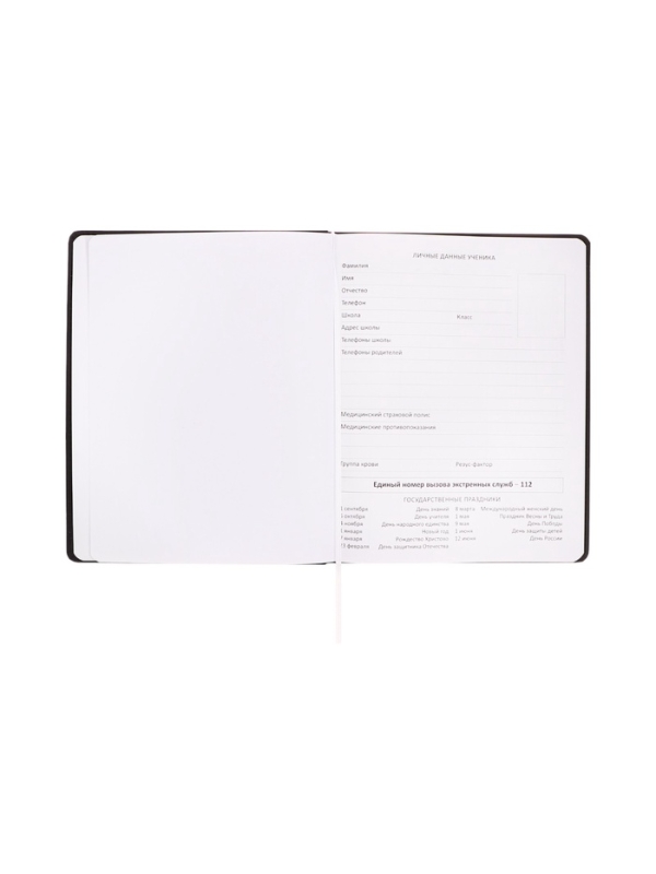 Дневник школьный 1-11 класс, deVENTE &laquo;ХЗ&raquo;, искусственная кожа, шелкография