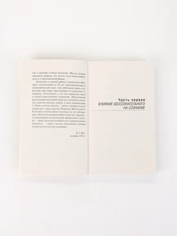 Книга &laquo;Отношения между эго и бессознательным&raquo;, Карл Густав Юнг