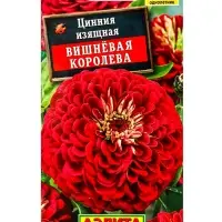 Семена цветов Цинния Вишневая королева , Ц/П,0,3 г Семена цветов Цинния Вишневая королева , Ц/П,0,3 г