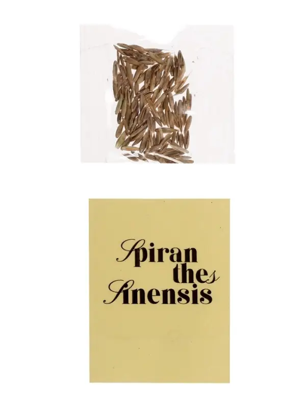 Набор для опытов &laquo;Выращиваем травку&raquo;, своими руками, оранжевый