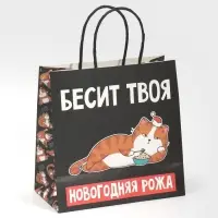 Пакет подарочный новогодний &laquo;Рожа&raquo;, 22 х 22 х 11 см