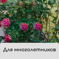 Чехол для растений, на завязках, 60 × 56 см, спанбонд с УФ-стабилизатором, плотность 60 г/м², МИКС