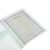Папка формат А4 с 30 прозрачными файлами &laquo;Домашний уют&raquo; пластик, 400 мкм, МИКС