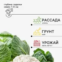 Семена Капуста цветная, &laquo;Фридом&raquo;, F1, 10 шт., Seminis, &laquo;Агрос&raquo;
