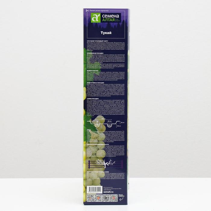 Саженец винограда Тукай, Весна 2024, 1 шт. Саженец винограда Тукай, Весна 2024, 1 шт.