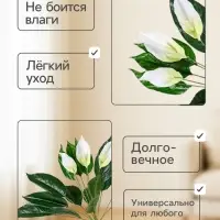 Дерево искусственное &laquo;Спатифилум&raquo;, h=70 см