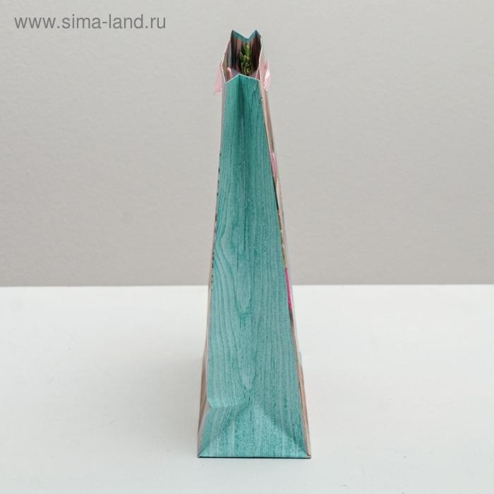 Пакет подарочный ламинированный вертикальный, упаковка, &laquo;Поздравляю!&raquo;, ML 23 х 27 х 11,5 см