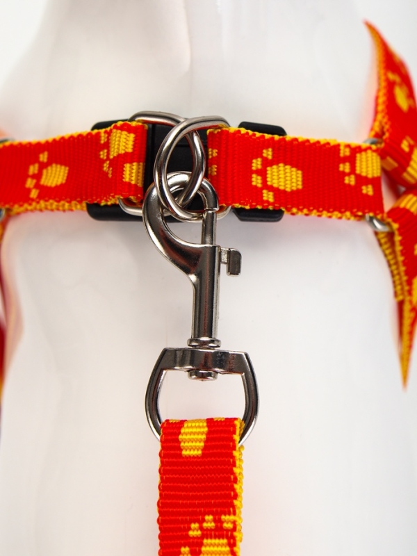 Комплект Комплект "Большая лапа", ширина 1,5 см, поводок 120 см, шлейка 28-42 см, оранжево-жёлтый