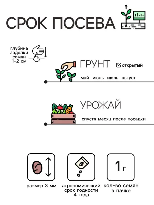 Семена Редис  Семена Редис "Рубин", 1 г