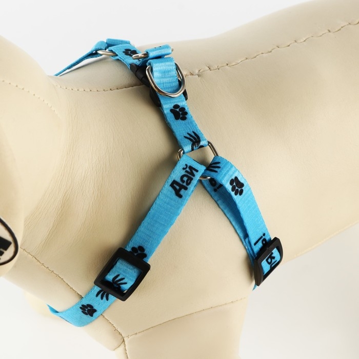 Комплект «Дай пять», шлейка 26-39 см, поводок 120х1 см Комплект «Дай пять», шлейка 26-39 см, поводок 120х1 см