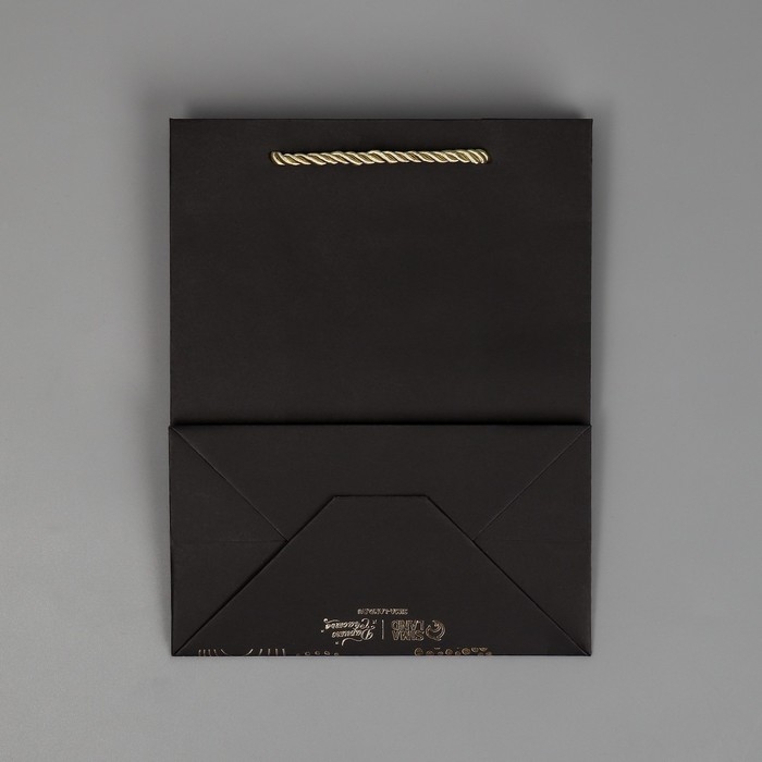 Пакет подарочный, упаковка, «Поздравляю», чёрный крафт, 18 х 23 х 10 см