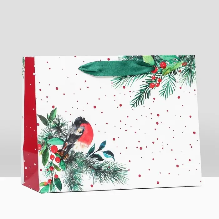 Пакет подарочный Пакет подарочный "Снегирь на праздник ", 23 х 17,8 х 9,8 см