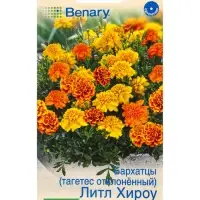 Семена цветов Бархатцы Литл хироу отклоненные, смесь сортов Спецсерия Benary, Ц/П,10 шт. Семена цветов Бархатцы Литл хироу отклоненные, смесь сортов Спецсерия Benary, Ц/П,10 шт.