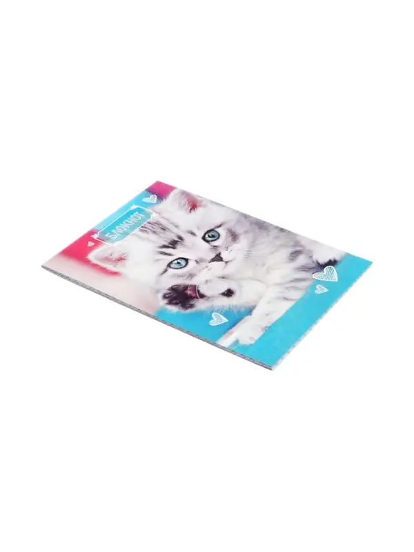 Блокнот А6, 24 листа в клетку на скрепке &laquo;Котята&raquo;, обложка мелованный картон, МИКС