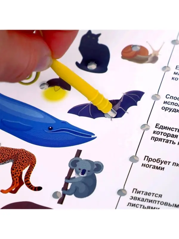 Электровикторина Десятое Королевство &laquo;Размышляй-ка&raquo;, 7-12 лет