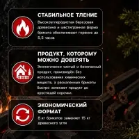 Угольные брикеты для гриля &laquo;Камадо&raquo;, &laquo;Березняк&raquo;, 8 кг