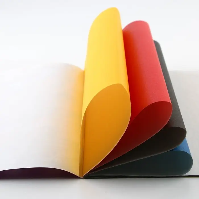 Бумага цветная односторонняя А4 &laquo;Пёсик&raquo; 16 листов 8 цветов газетная, плотность 45 г/м&sup2;, плотность 80 г/м&sup2;