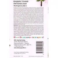 Семена цветов Вашингтония &laquo;Нитеносная &raquo; &laquo;Детская грядка&raquo; 5 шт.