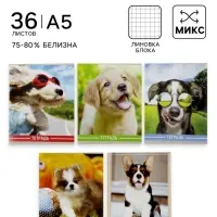 Тетрадь 36 листов в клетку, Calligrata &laquo;Щенки&raquo;, серые листы, МИКС