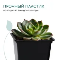 Горшок для рассады, 500 мл, 9&times;9&times;9.5 см, пластик, чёрный