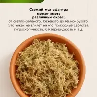 Мох сфагнум &laquo;Рецепты Дедушки Никиты&raquo; 10 л.