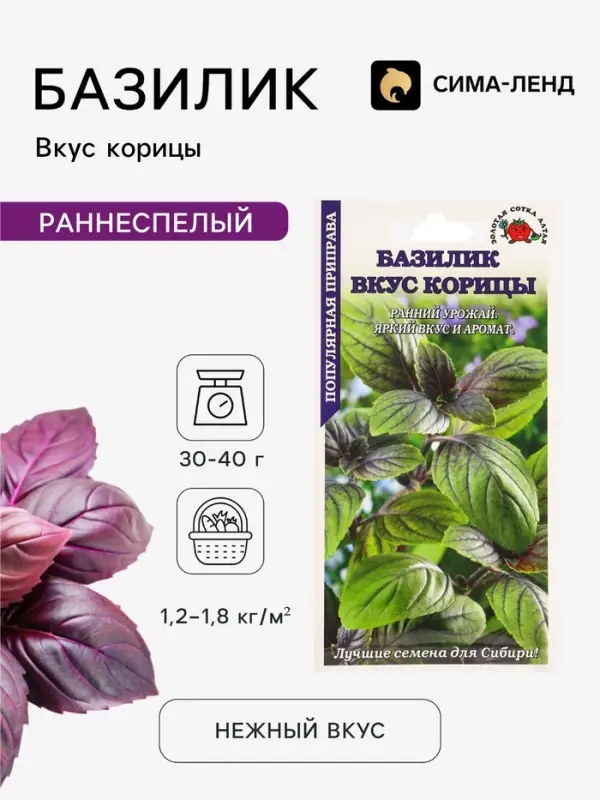 Семена Базилик &laquo;Вкус Корицы&raquo;, 0.3 г, раннеспелый, зелёный с фиолетовыми прожилками, &laquo;Золотая Сотка Алтая&raquo;