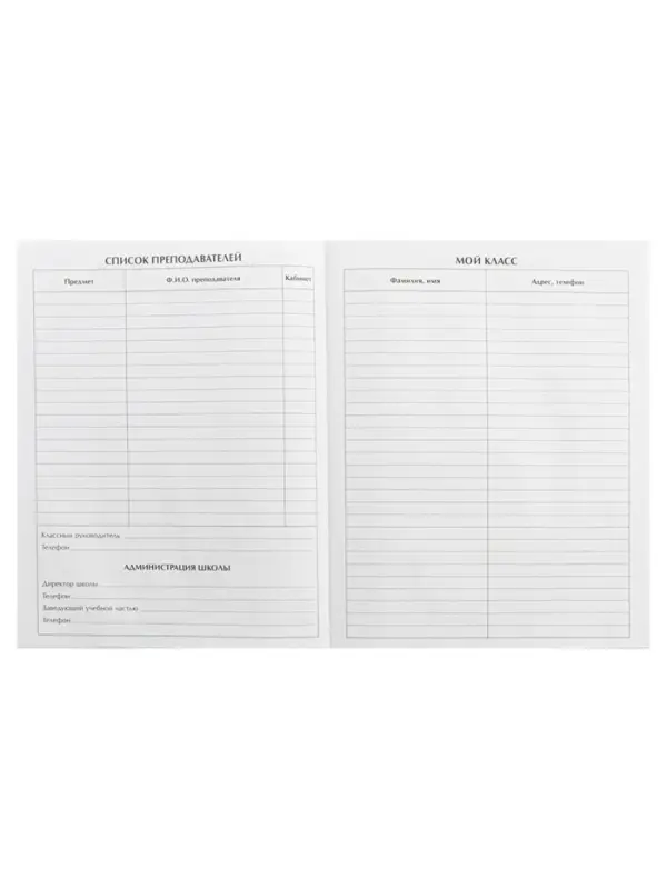 Дневник школьный для 5-11 классов, &laquo;Кеды&raquo;, твёрдая обложка 7БЦ, глянцевая ламинация, 48 листов