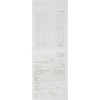 Бланк Авансовый отчет форма АО-1 А4  1у/5кн по 100л газетка(упаковка крафт)