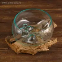 Вазон на коряге "Аква" 35х30х23 см Вазон на коряге "Аква" 35х30х23 см