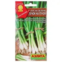 Набор семян Лук на зелень "Лучок на пучок", 5 шт. Набор семян Лук на зелень "Лучок на пучок", 5 шт.
